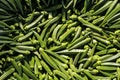 Many fresh green okra or lady\'s finger vegetable background