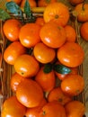 Many fresh mandarins in a wooden stand on a table