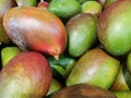 Many fresh mangos Royalty Free Stock Photo