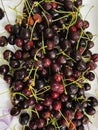 Many fresh organic cherries with white background