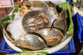 Many fresh pimps are sold in the seafood market. Thai food. Spicy Horseshoe Crab Egg Salad, Pimp egg salad. Thai sea food. Royalty Free Stock Photo