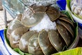 Many fresh pimps are sold in the seafood market. Thai food. Spicy Horseshoe Crab Egg Salad, Pimp egg salad. Thai sea food. Pimp of Royalty Free Stock Photo