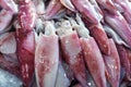 Many fresh raw calamari close up, heap of red and white calamary on seafood market, squids with ice closeup, squid background