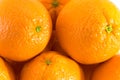 Many fresh raw oranges with navels, orange background Royalty Free Stock Photo