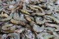 Many fresh raw shrimps close up, heap of prawns on seafood market, tropical marine crustaceans, gourmet healthy food, sea or ocean Royalty Free Stock Photo