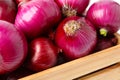 Many fresh red onions in wooden crate Royalty Free Stock Photo