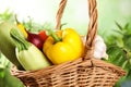 Many fresh ripe vegetables in wicker basket Royalty Free Stock Photo