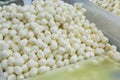 Many fresh white mozzarella cheese balls in a bowl Royalty Free Stock Photo