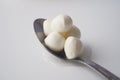 Many fresh white mozzarella cheese balls on spoon Royalty Free Stock Photo