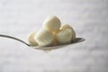 Many fresh white mozzarella cheese balls on spoon Royalty Free Stock Photo