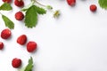 Many fresh wild strawberries, flower and leaves on white background, flat lay. Space for text Royalty Free Stock Photo