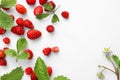 Many fresh wild strawberries, flower and leaves on white background, flat lay. Space for text Royalty Free Stock Photo