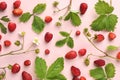 Many fresh wild strawberries, flowers and leaves on pink background, flat lay Royalty Free Stock Photo