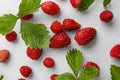 Many fresh wild strawberries and leaves on white background, flat lay Royalty Free Stock Photo