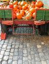 Many freshly harvested pumpkins at a farm