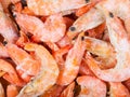 Many frozen boiled red shrimps close up