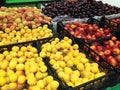 Many fruits apricots, peaches, nectarines and plums lying in boxes supermarket