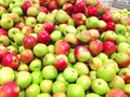 Many fruits green, red apples lying at supermarket close up Royalty Free Stock Photo