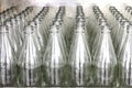 Many glass bottles Royalty Free Stock Photo