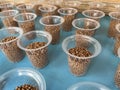 Many glass plastic filled with dry fish food pellets.