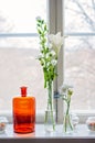 Many glass vases and jugs and flowers on a windowsill. Clear glass vases and one orange glass vase with different white flowers Royalty Free Stock Photo