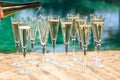 Many glasses of champagne or prosecco near resort pool in a luxury hotel. Pool party. Royalty Free Stock Photo