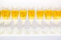 Many glasses with champagne or white winein a row. Alcohol background Royalty Free Stock Photo