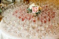 Many glasses of champagne and wine Royalty Free Stock Photo