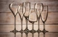 Many glasses of different shapes