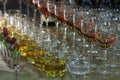 Many glasses of different wine in a row on bar counter. Catering Royalty Free Stock Photo