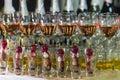 Many glasses of different wine in a row on bar counter. Catering Royalty Free Stock Photo