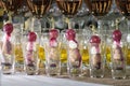 Many glasses of different wine in a row on bar counter. Catering Royalty Free Stock Photo