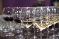 Many glasses of different wine in a row on bar counter Royalty Free Stock Photo