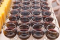 Many glasses of red wine ready for a banquet. Royalty Free Stock Photo