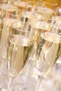 Many glasses of sparkling champagne Royalty Free Stock Photo