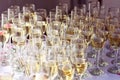 Many glasses of wine on table or champagne wedding event Royalty Free Stock Photo