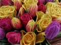 a bouquet of mixed flowers including yellow gold and pink blooms also tulips Royalty Free Stock Photo