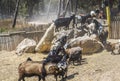 Many goats waiting for their food, Portugal