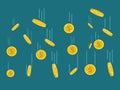 Many gold coins vector image, release gold coins isolated on a green background