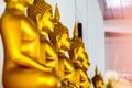 Many golden Buddha images Royalty Free Stock Photo