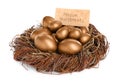 Many golden eggs and card with phrase Pension Investments in nest on white background Royalty Free Stock Photo