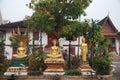 Many golden sitting and standing Buddhas, set up an outdoor at Wat Mai Souvannapoumaram.