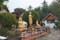 Many golden sitting and standing Buddhas, set up an outdoor at Wat Mai Souvannapoumaram.