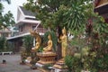 Many golden sitting and standing Buddhas, set up an outdoor at Wat Mai Souvannapoumaram.