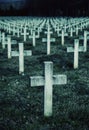 Many gravestone crosses in cemetery at twilight Royalty Free Stock Photo