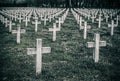 Many gravestone crosses in cemetery at twilight Royalty Free Stock Photo