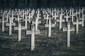 Many gravestone crosses in cemetery at twilight Royalty Free Stock Photo