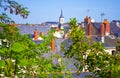 Many gray rooftops among fresh green leaves and branches Royalty Free Stock Photo
