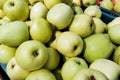 Many green apples in a box closeup Royalty Free Stock Photo