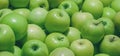 Background of many green apples in a pile Royalty Free Stock Photo